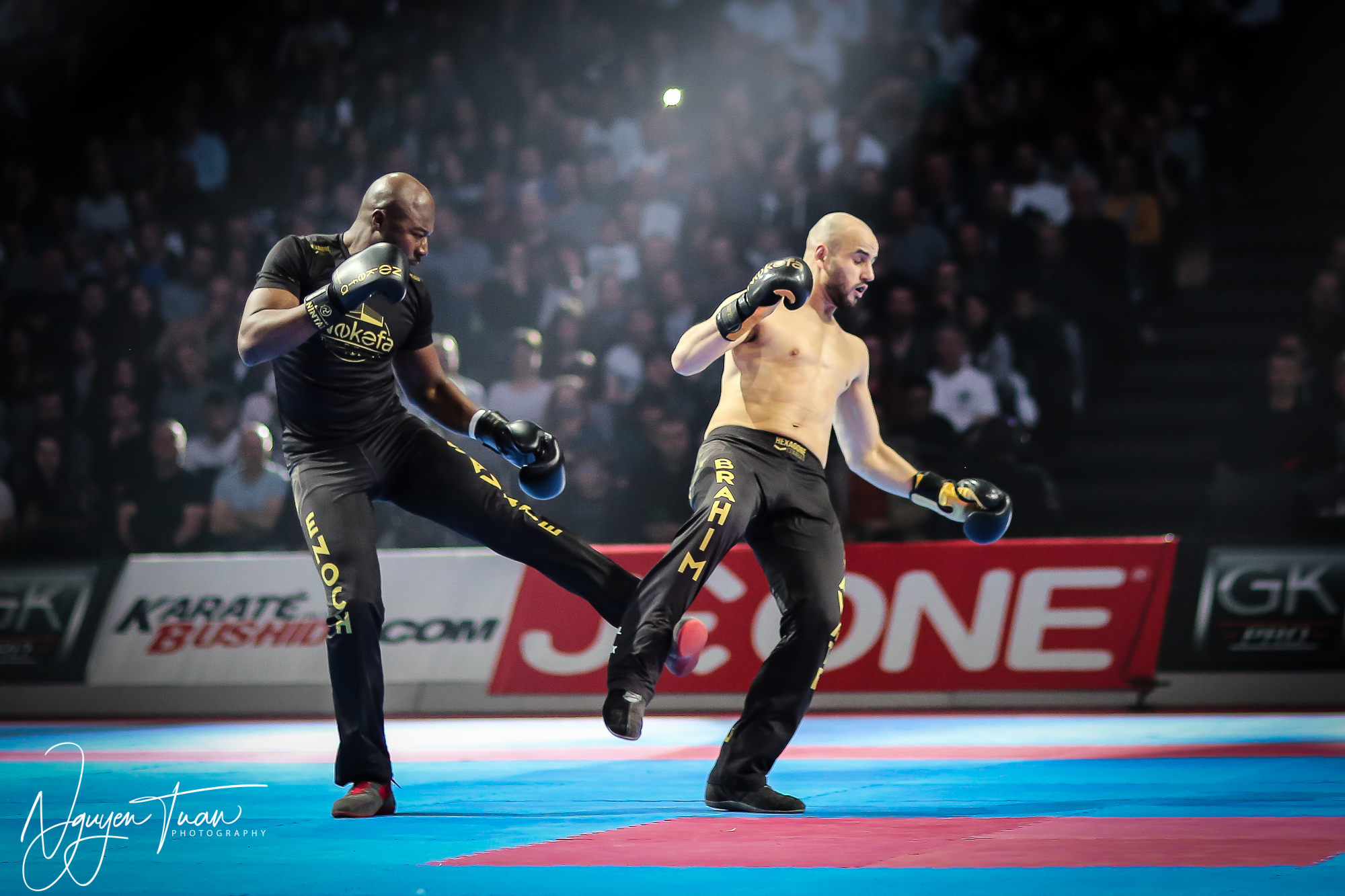 20190324 Festival des Arts Martiaux 2233